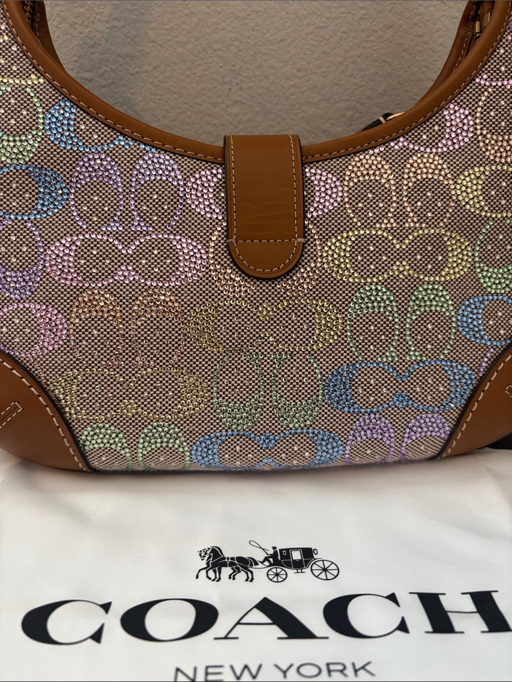 Coach Candy Crystal Signature Hampton Hobo Bag - Picture 2 of 9